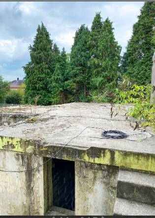 The outbuilding and trees